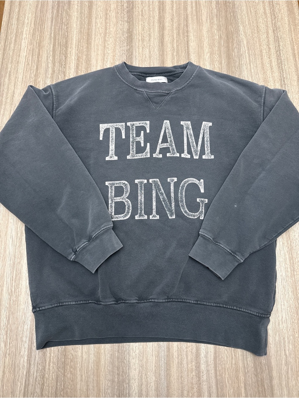 Anine Bing Team Bing Graphic Crewneck / Sweatshirt Size Small Washed Gray